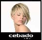 logotipo logotipo