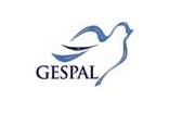 logotipo logotipo