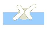 logotipo logotipo