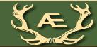 logotipo logotipo